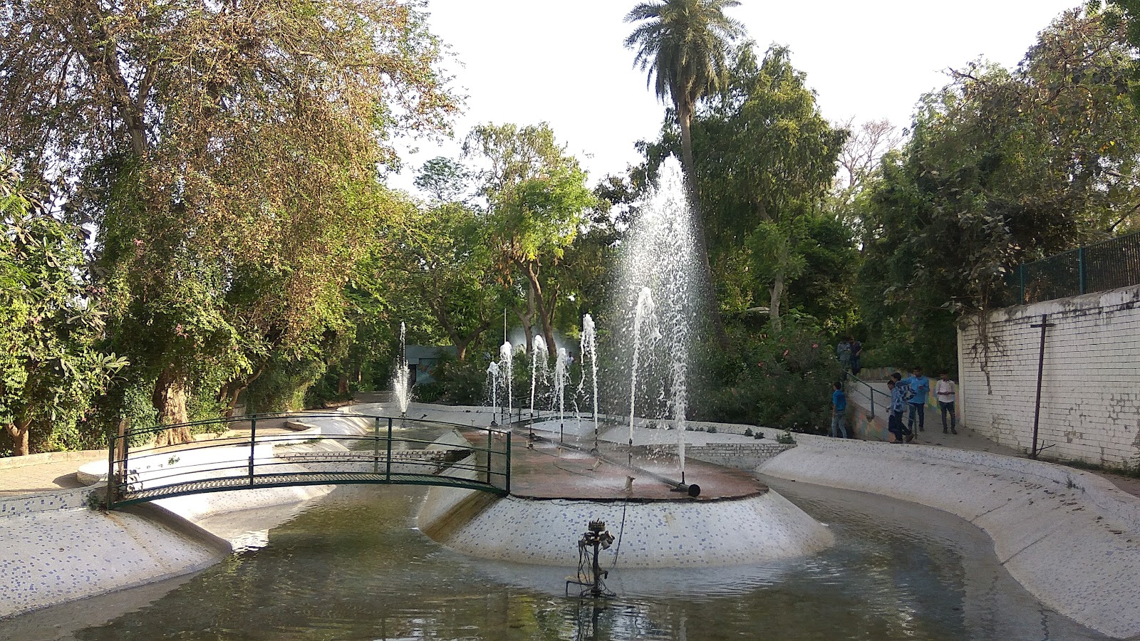 One Tree Hill Garden
