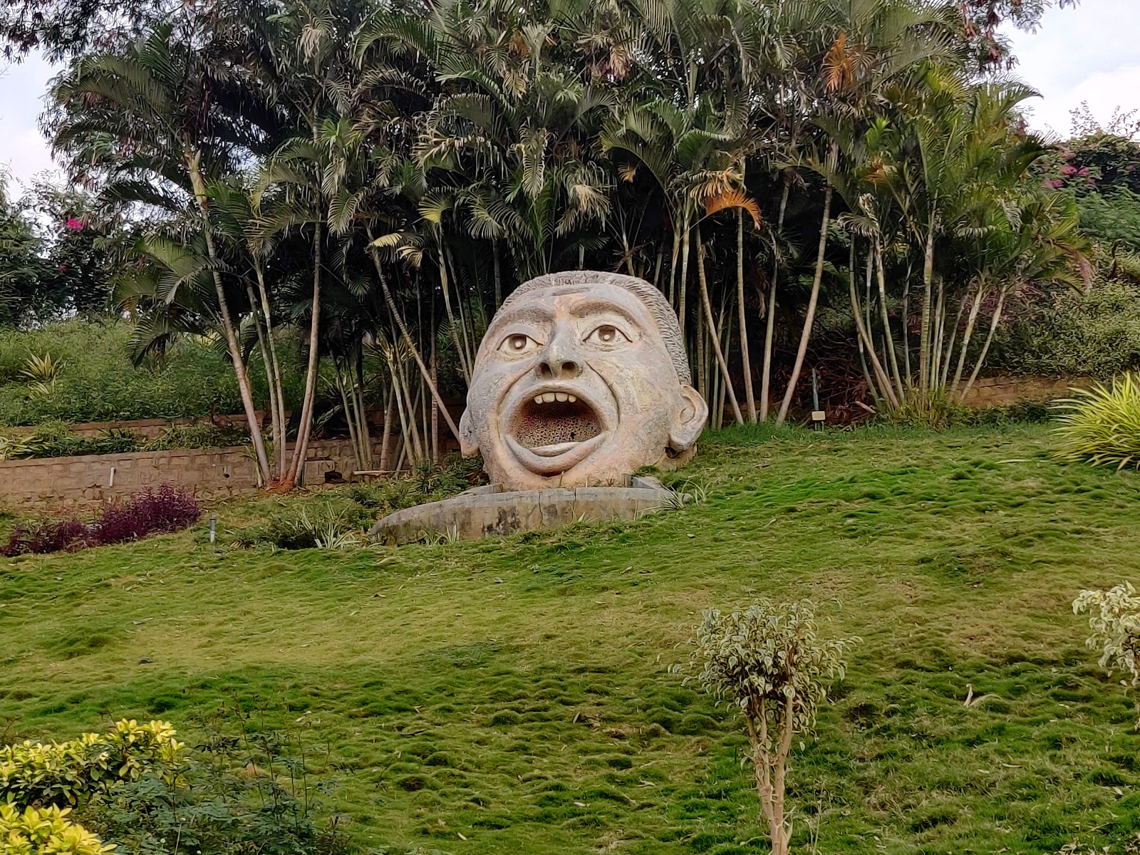‌Jinke Park