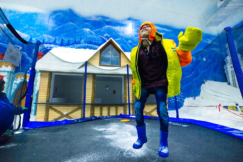 Snow Kingdom