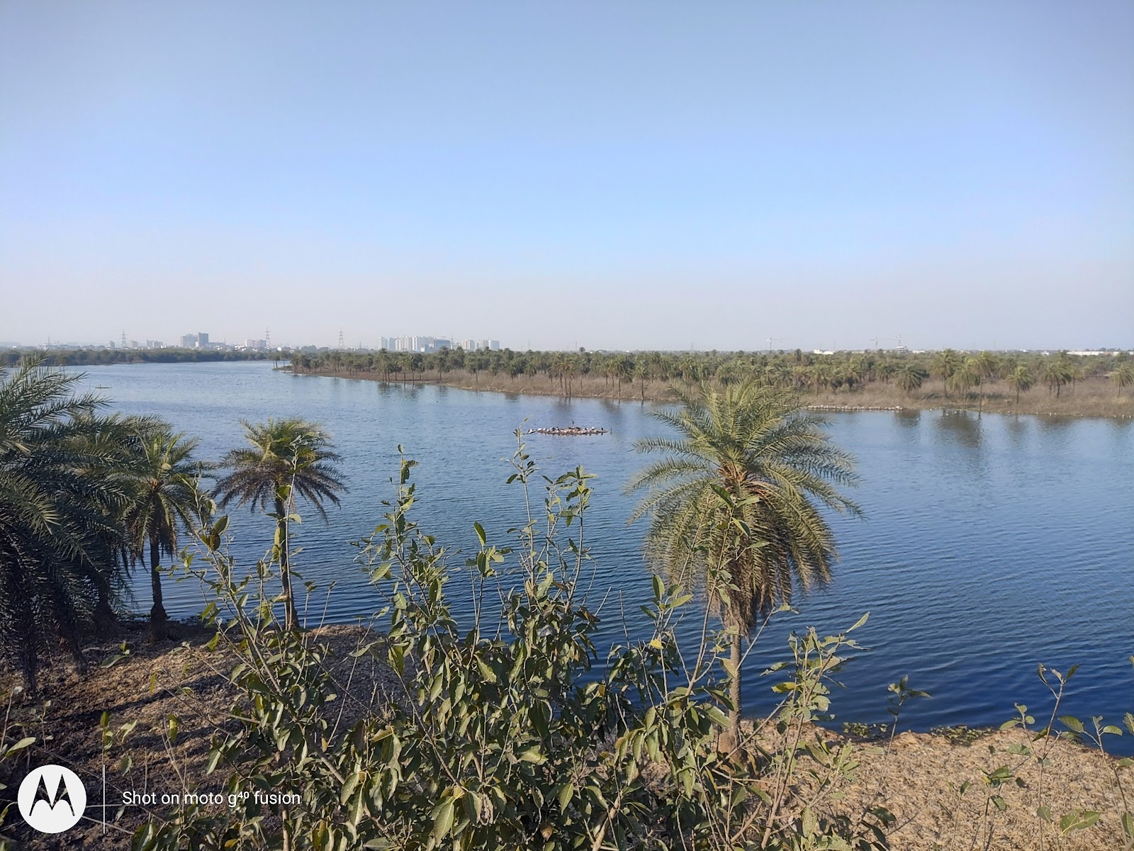 Surajpur bird sanctuary photo 1