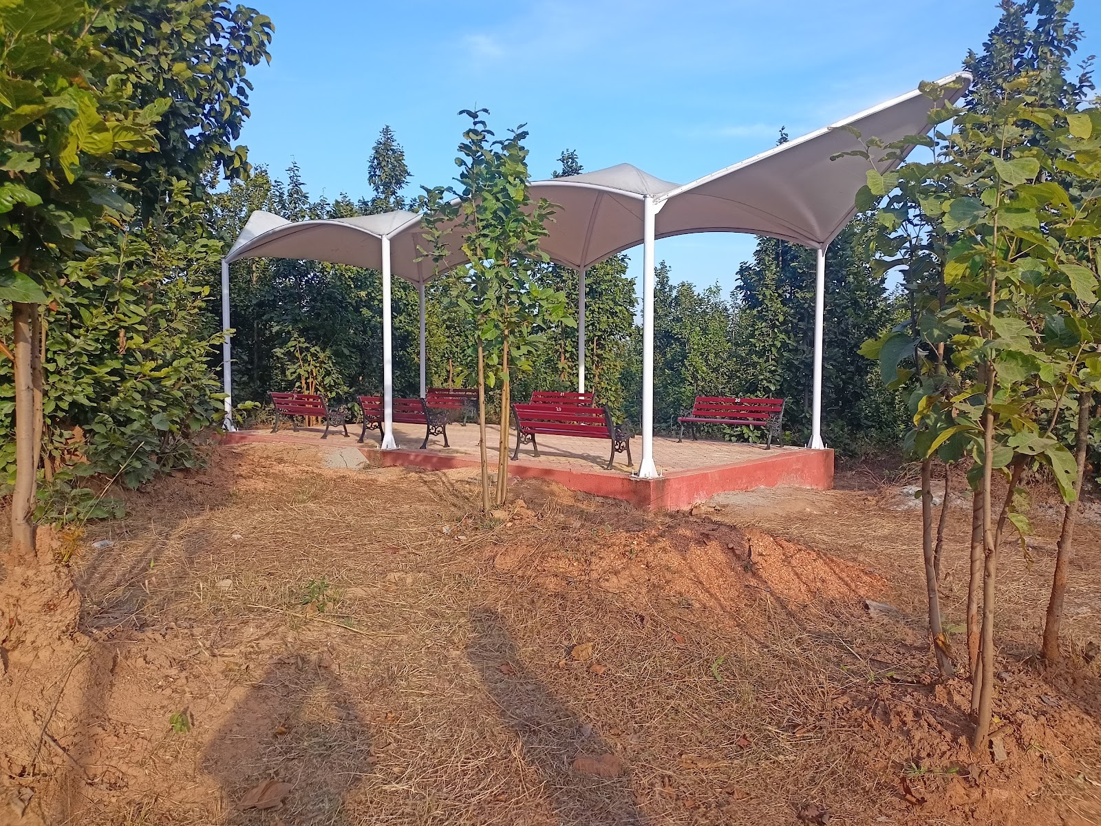 Biodiversity Park Gumla photo 3