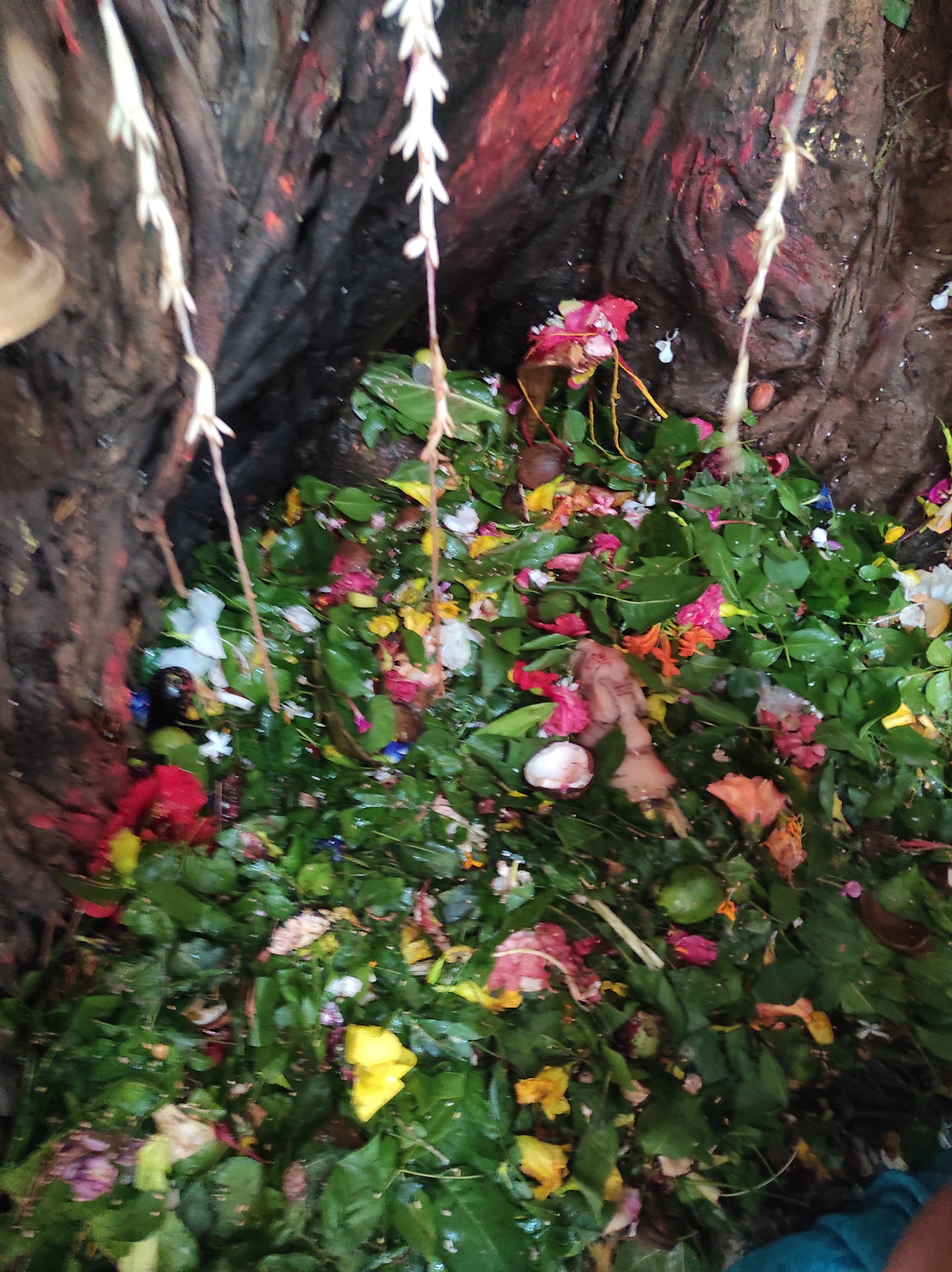Budha Mahadev Mandir photo 3