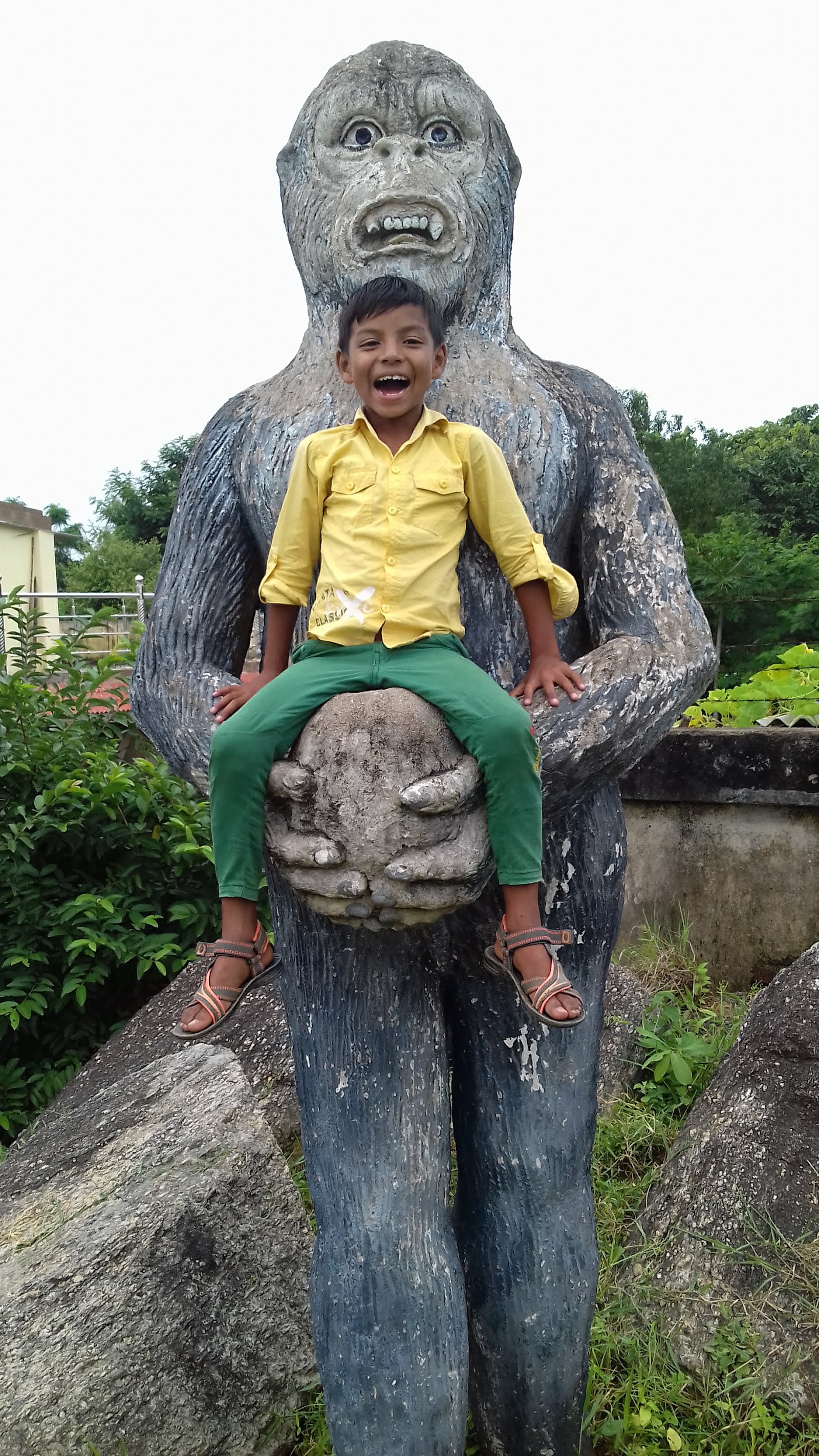 rock gardern photo 2
