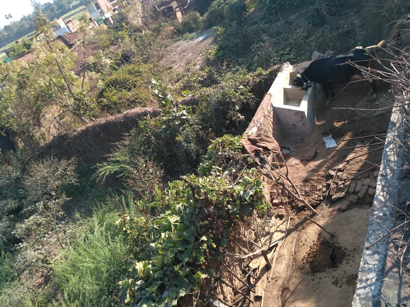 Badam Fort photo 3