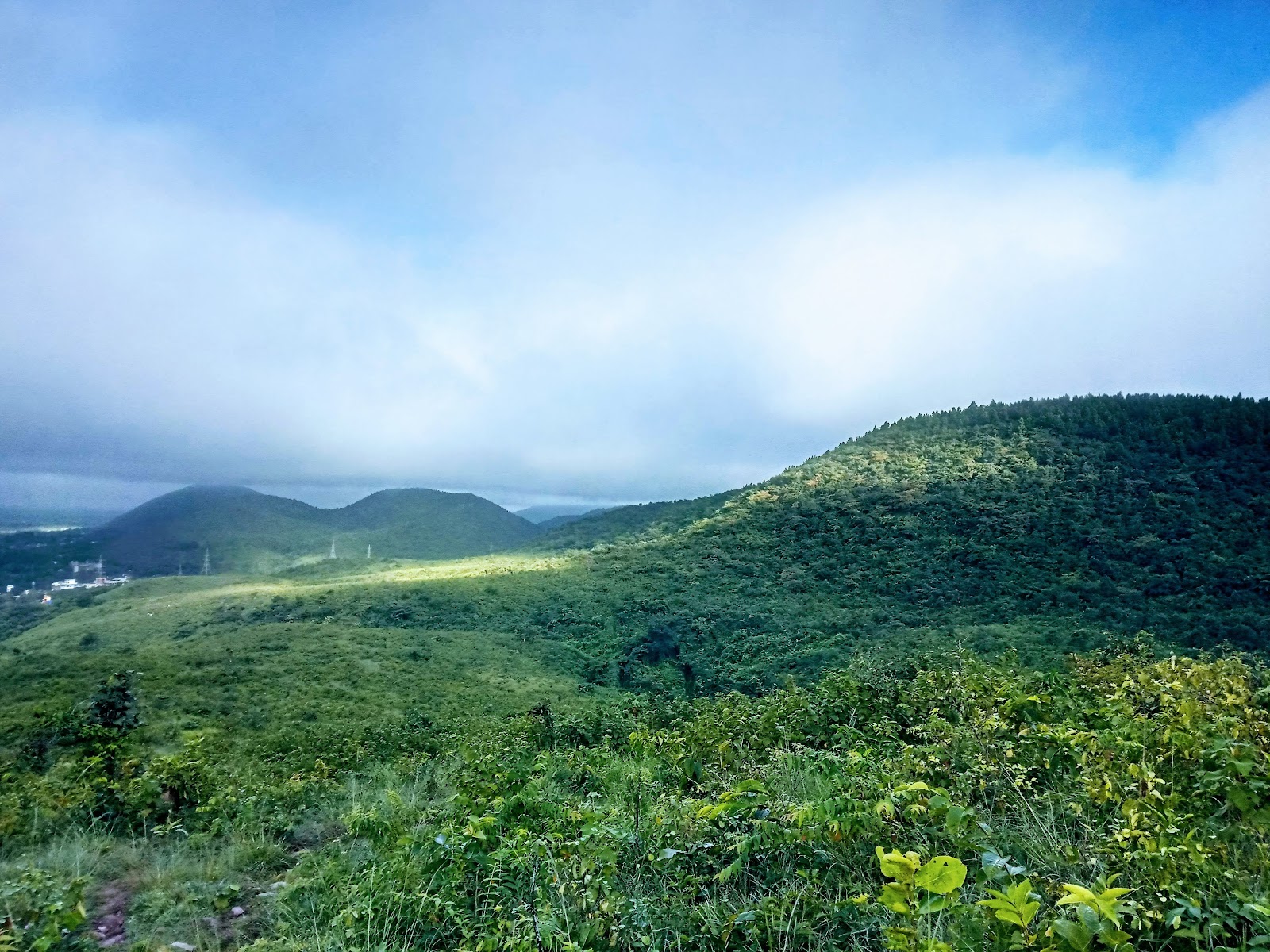Dalma Wildlife Sanctuary photo 2