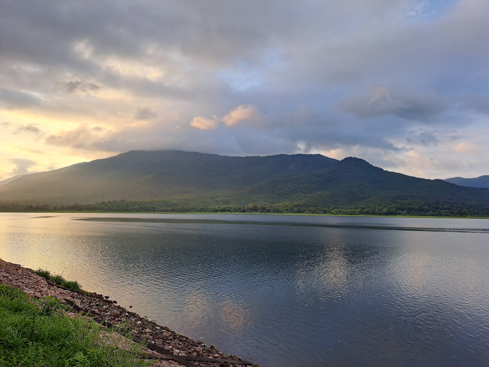 Dalma Wildlife Sanctuary photo 3