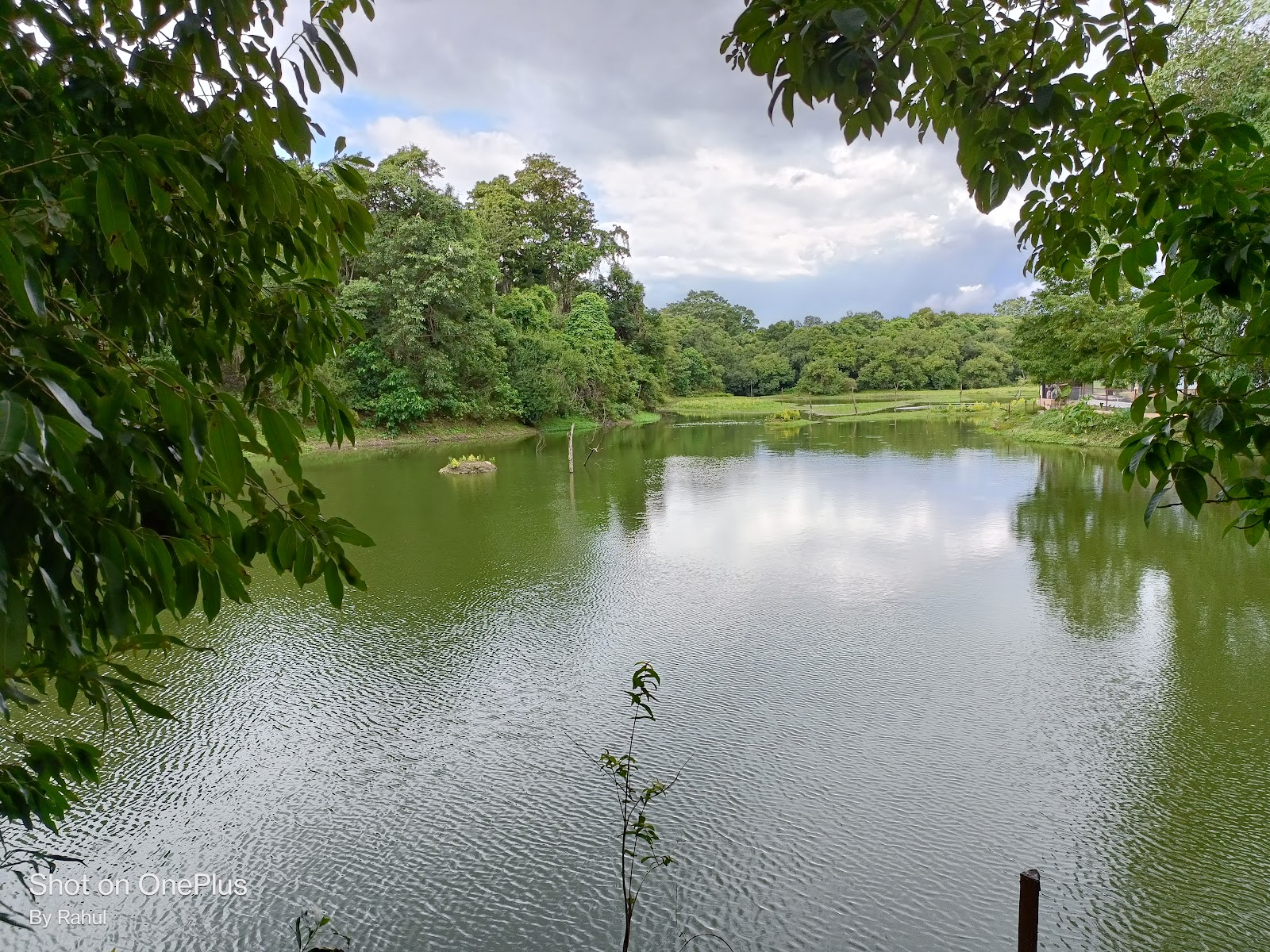 Hazaribagh Wildlife Sanctuary photo 2