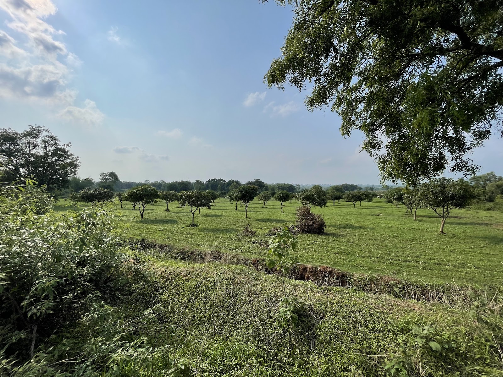 Sitagarh hills photo 2