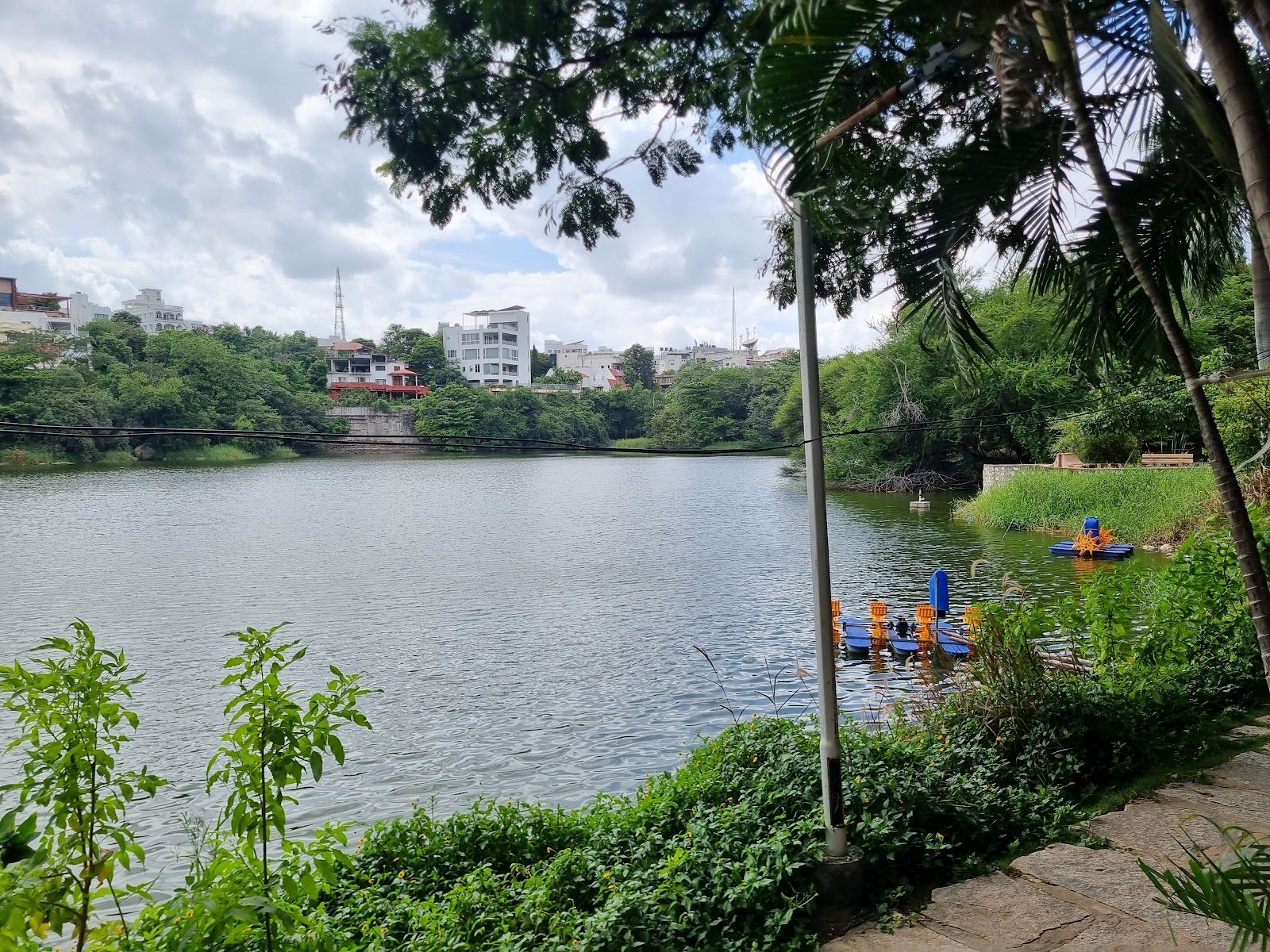 Lotus Pond