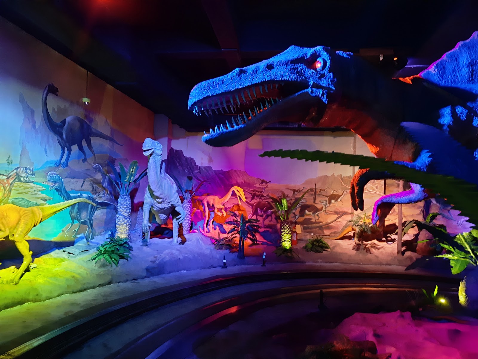 Science City photo 2