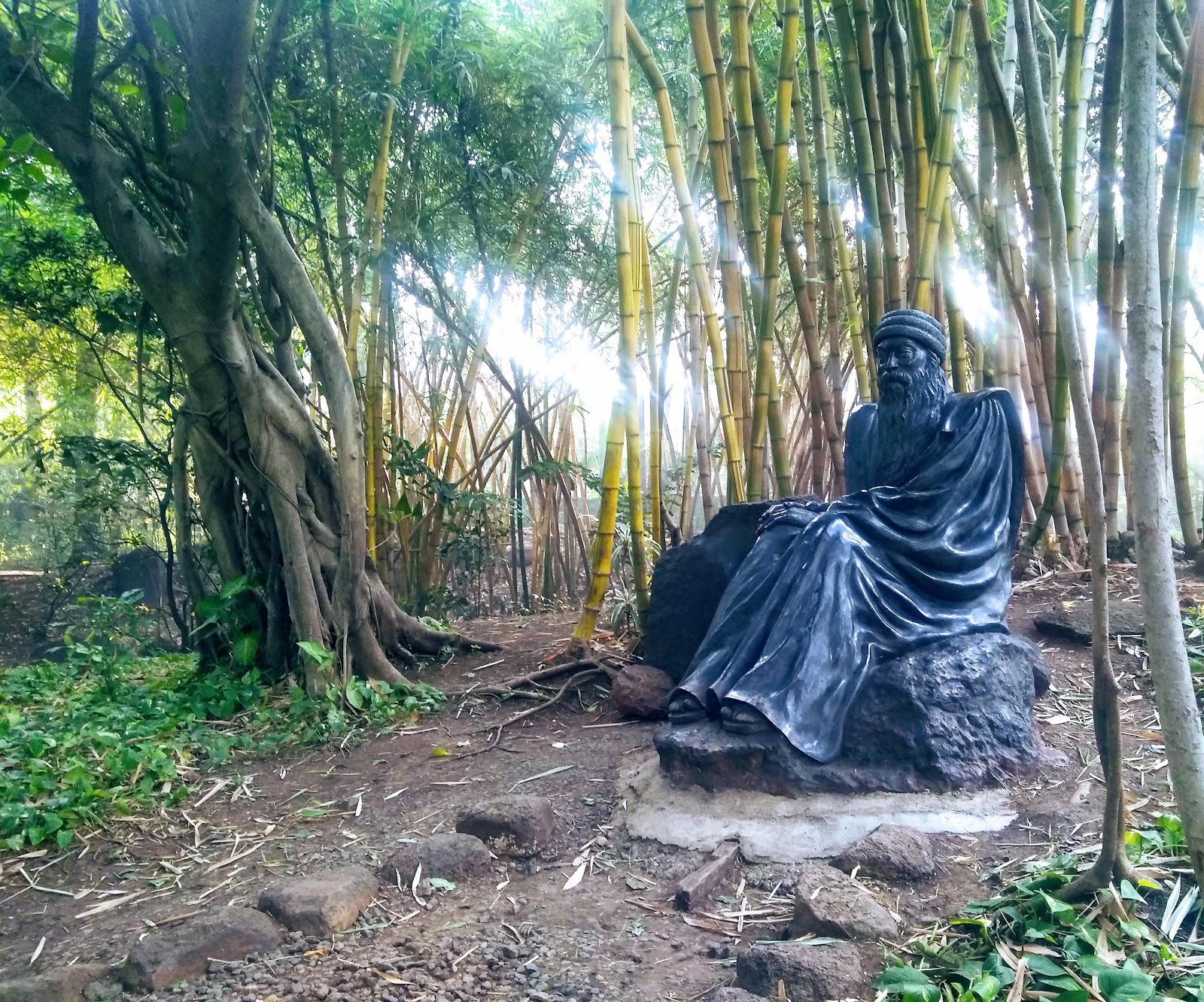 Osho Teerth Park